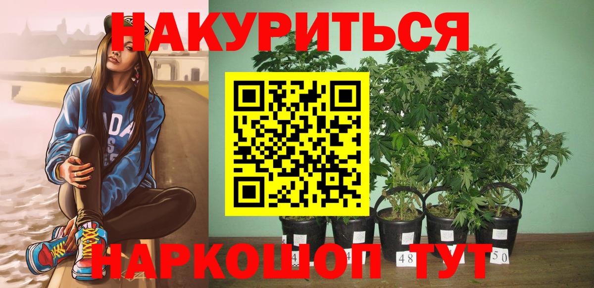 Каннабис семена  Вход с VPN  Бошки Шишки план  Глазов 